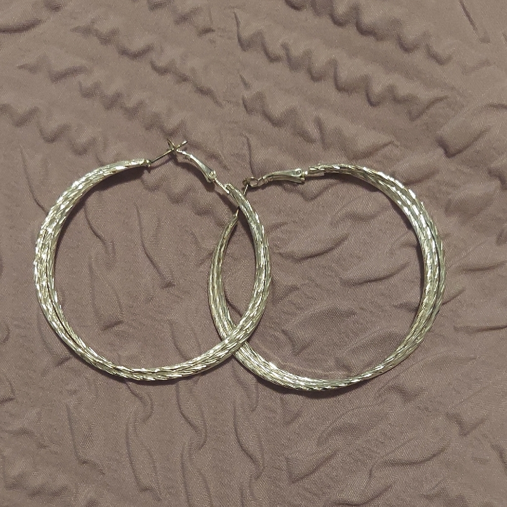 Elegant Silver Hoop Earrings